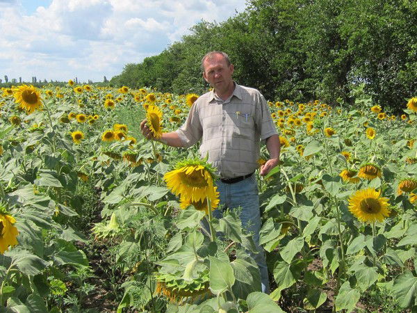 Владимир Чепок