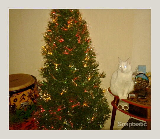 Луиза Халикова