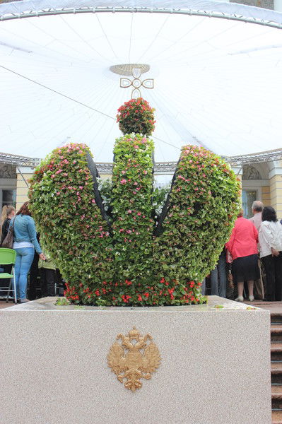 Анна Царева