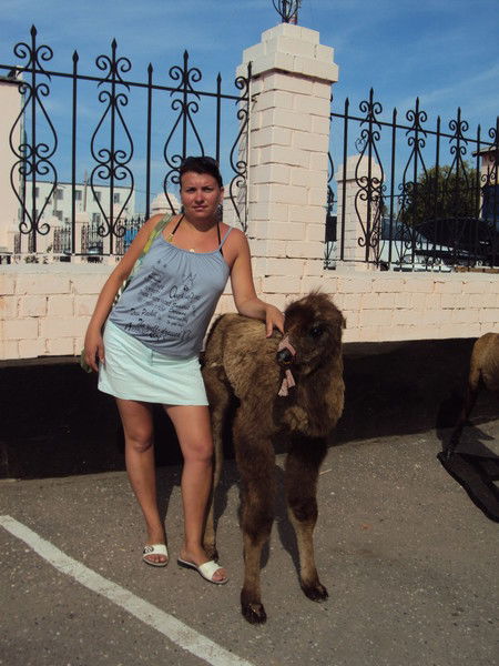 Татьяна Мягкова