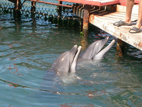 Юля Свистунова