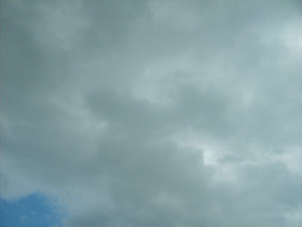 Андрей Сиротинин