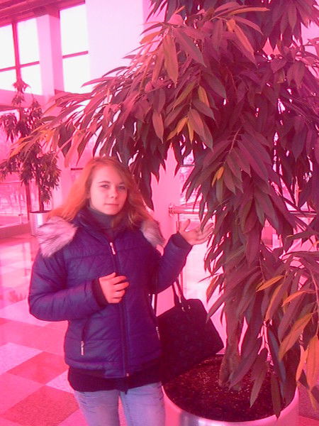 Елена Бабкина