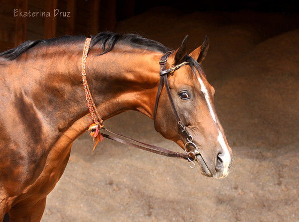 Байкенов Аслан