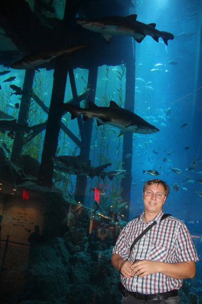 Сергей Вячеславович Попелышкин