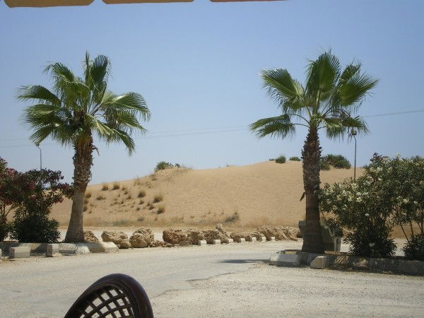 Малика Ильясовна