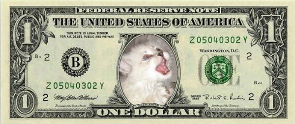 Оленька " " " " "