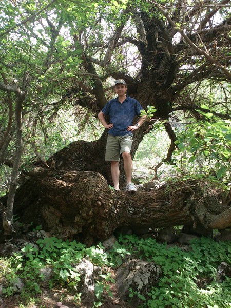 Анатолий Семзенис