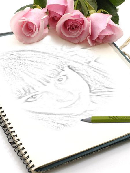 Машечка Рыкова