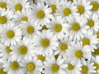 Ирина Вишинскас