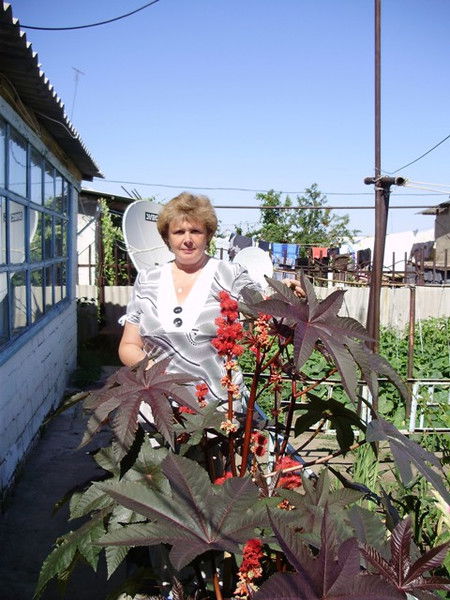 Елена Шурыгина