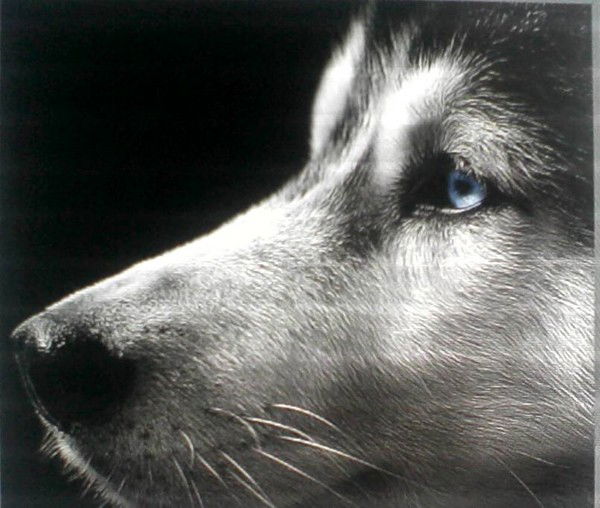 Александр Беляков