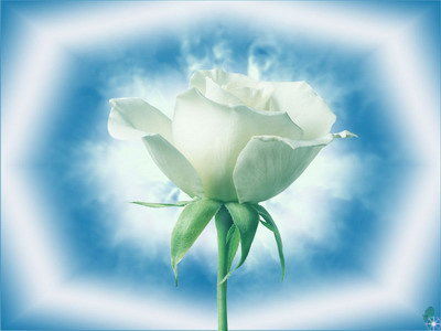 Наталья Филонова