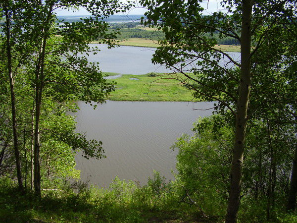 Татьяна Мишнина