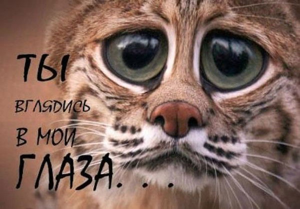 Николай Шестаков