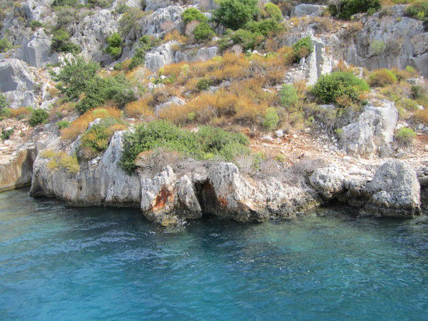 Татьяна Гапиенко