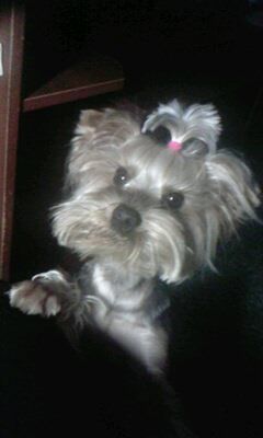 Лариса Гудкова