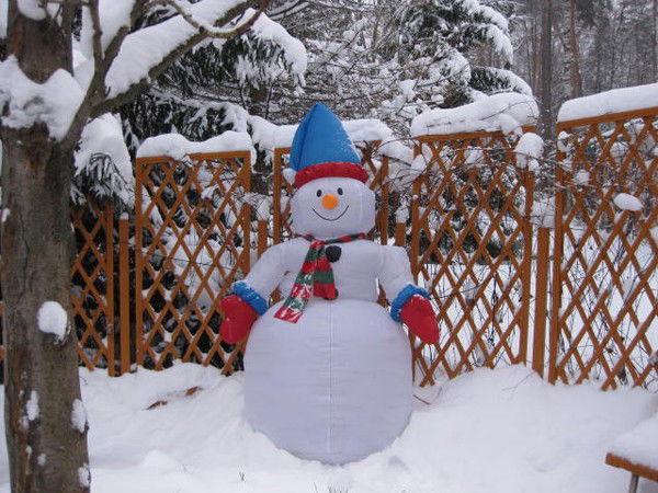 Александр Носовский