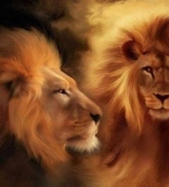 Мухаббат Мадиева