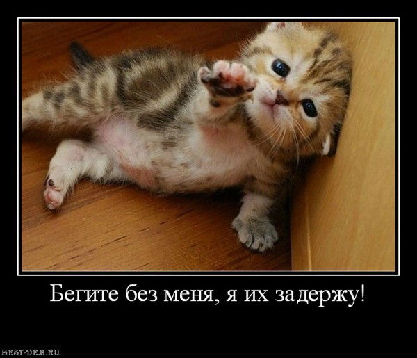 Лилия Соловьева