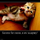 Лилия Соловьева