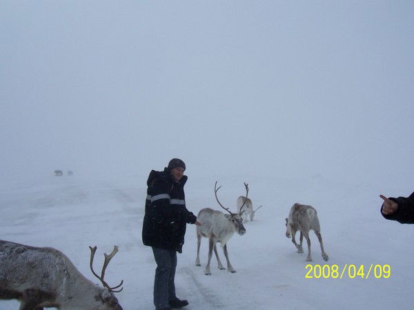 Александр Стамбровский
