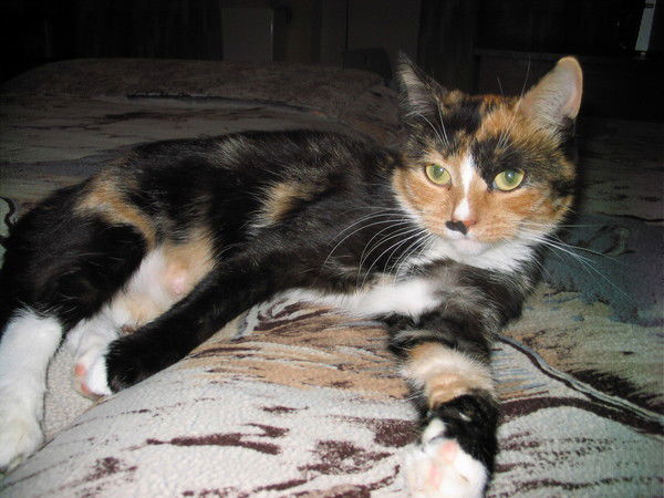 Ирина Ирина