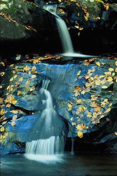 Таня Мюллер