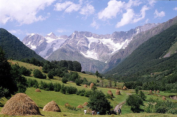 ????????www.... ????????www....