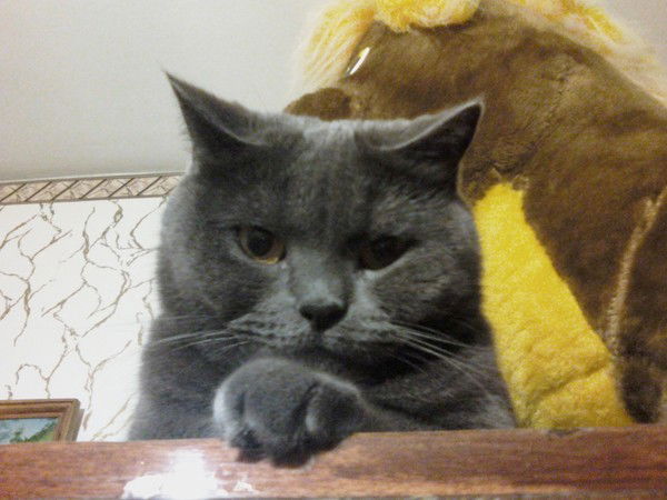 Андрей Есипов