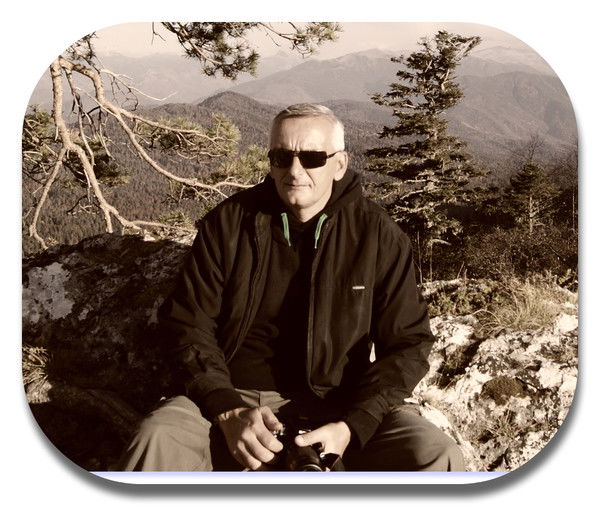 Владимир Лебедев