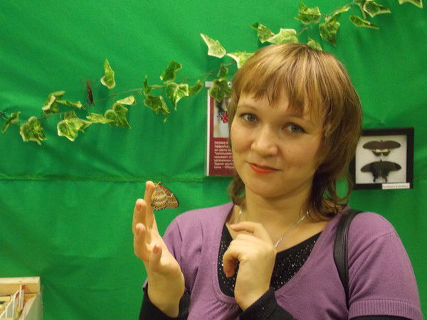 Eлена Наумова