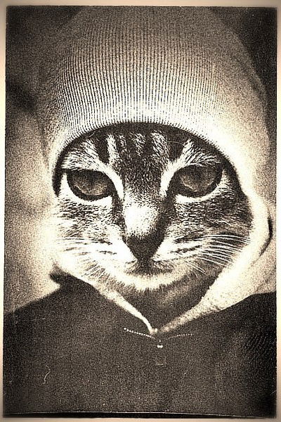 Вадим Бакалов