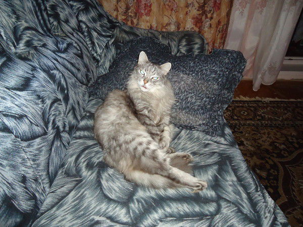 Павел Сухачёв