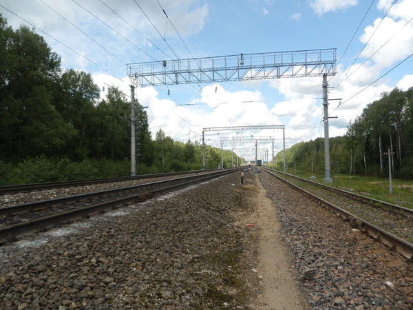 Макс Фролов