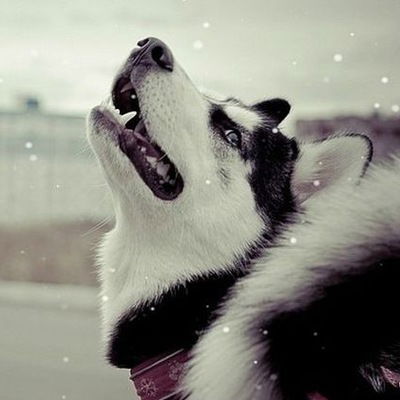 Кирилл Склянов