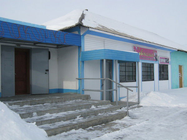 Лариса Холостова