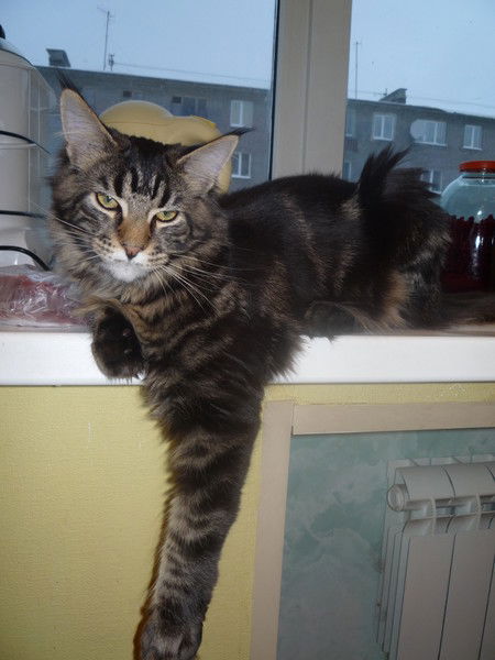 Виктория Бормотова