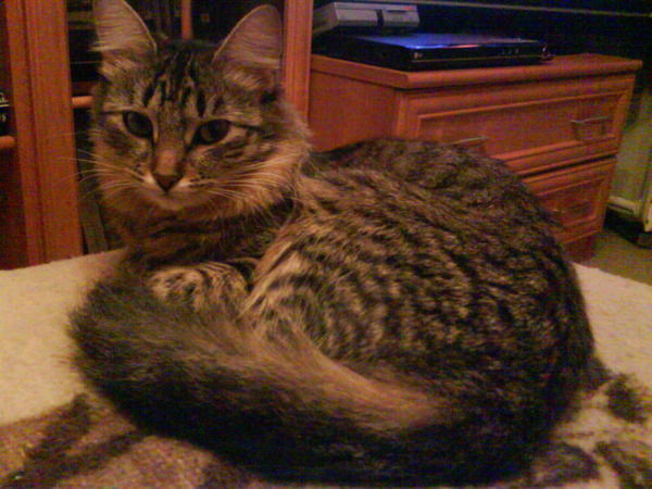 Татьяна Федорова