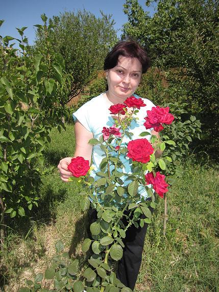 Ирина Гриненко (Гульпке)