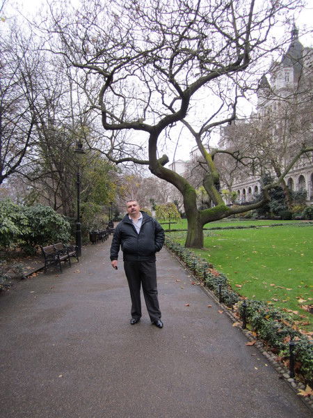 Александр Завгородний