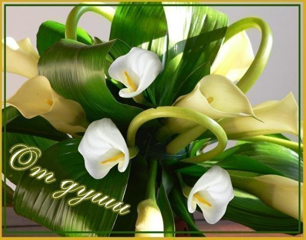 Светлана Разумеева