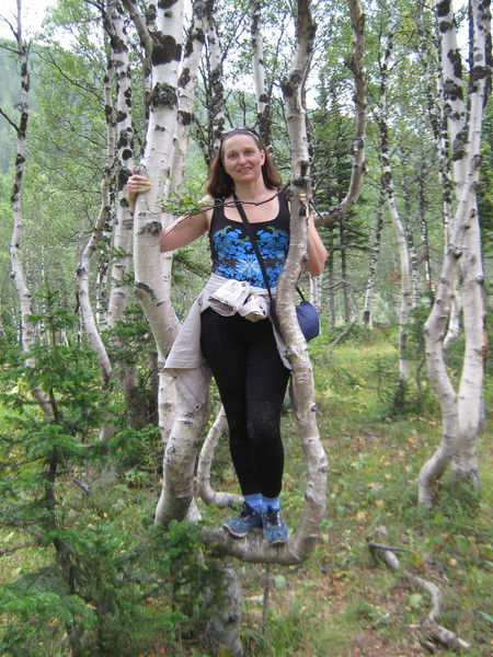 Алла Степанцева