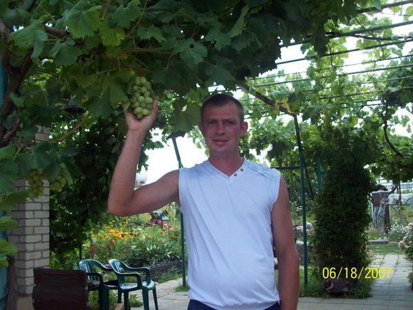 Сергей Перевертень