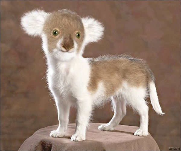 Маргарита Мацак