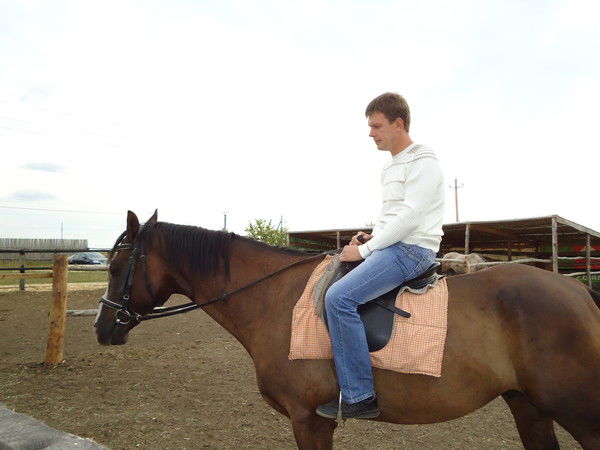 Сергей Дмитриев