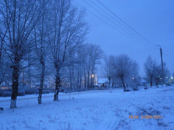 Алена Николаева