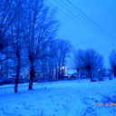 Алена Николаева