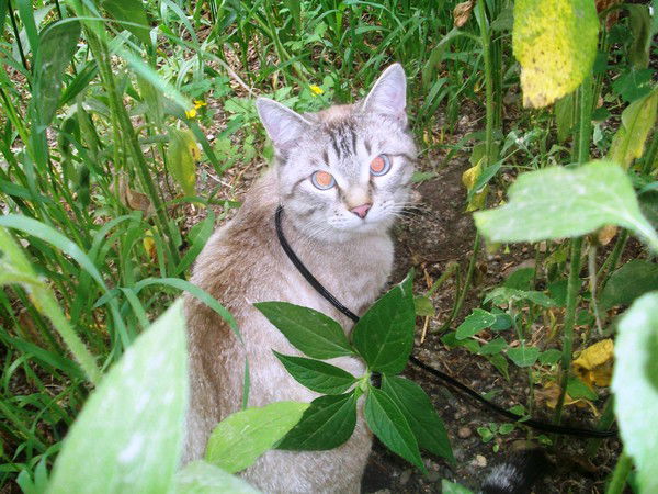 Диночка Сатдинова