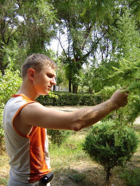 Алексей Кичигин